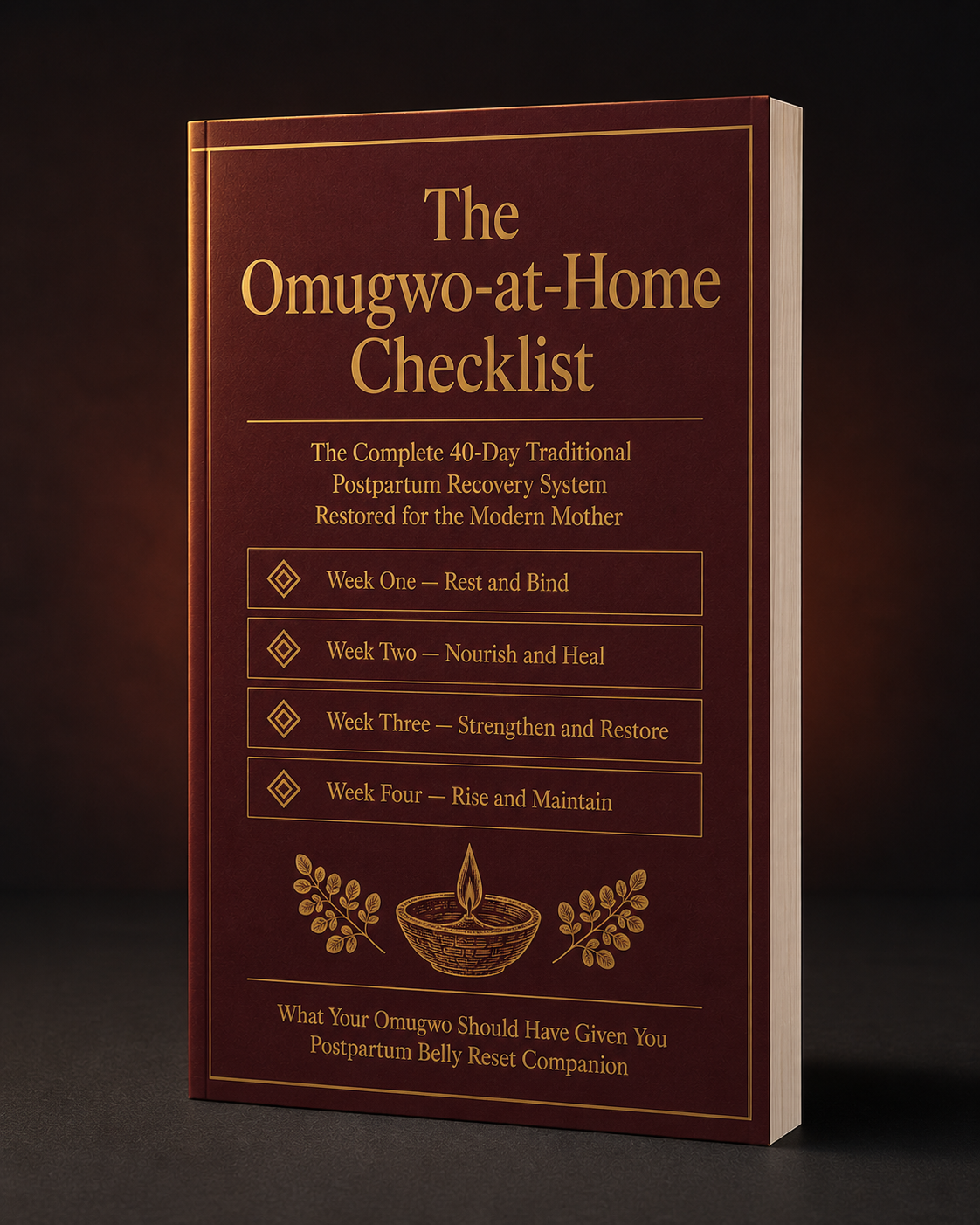 Bonus 2 — The Omugwo-at-Home Checklist